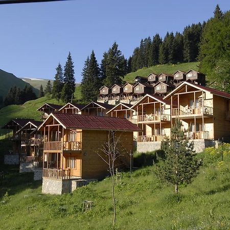 Zitas Zigana Yayla Tatil Koyu Macka Exteriör bild