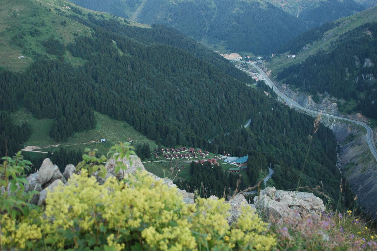 Zitas Zigana Yayla Tatil Koyu Macka Exteriör bild