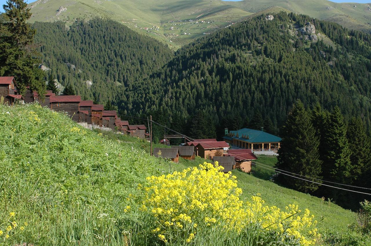 Zitas Zigana Yayla Tatil Koyu Macka Exteriör bild