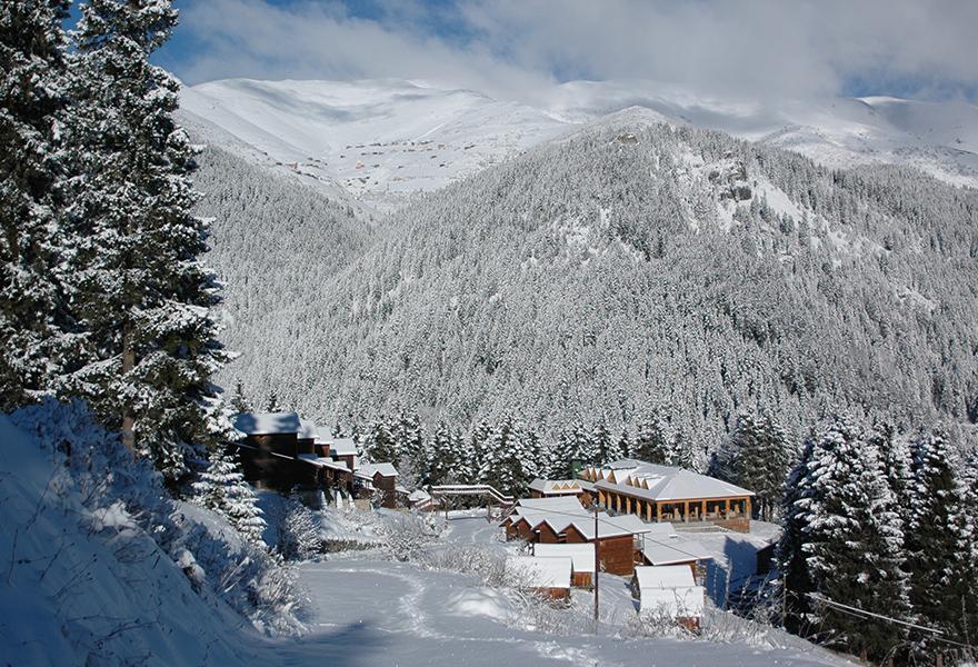 Zitas Zigana Yayla Tatil Koyu Macka Exteriör bild