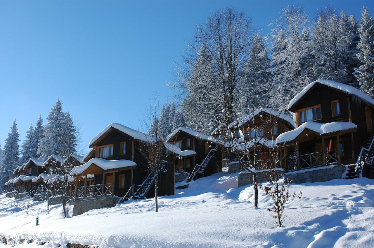 Zitas Zigana Yayla Tatil Koyu Macka Exteriör bild