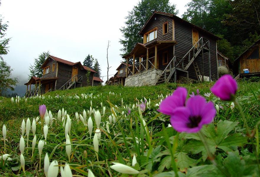 Zitas Zigana Yayla Tatil Koyu Macka Exteriör bild