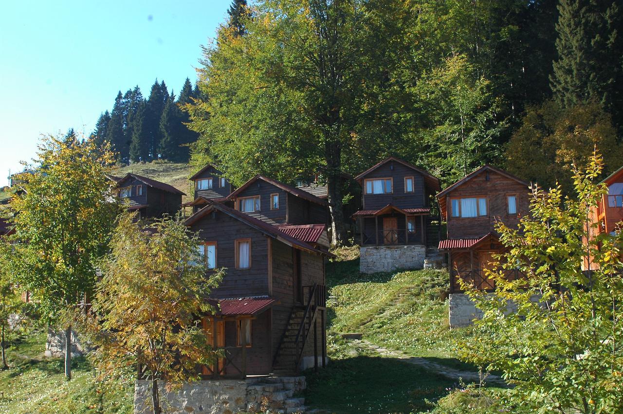 Zitas Zigana Yayla Tatil Koyu Macka Exteriör bild