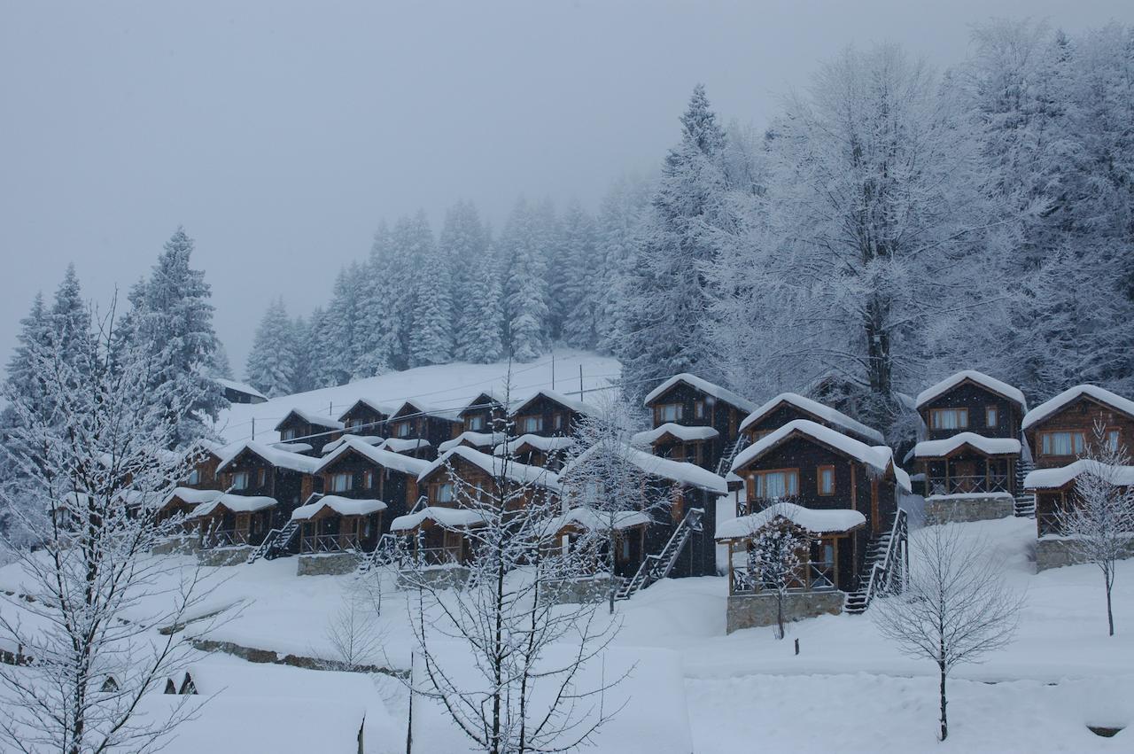 Zitas Zigana Yayla Tatil Koyu Macka Exteriör bild