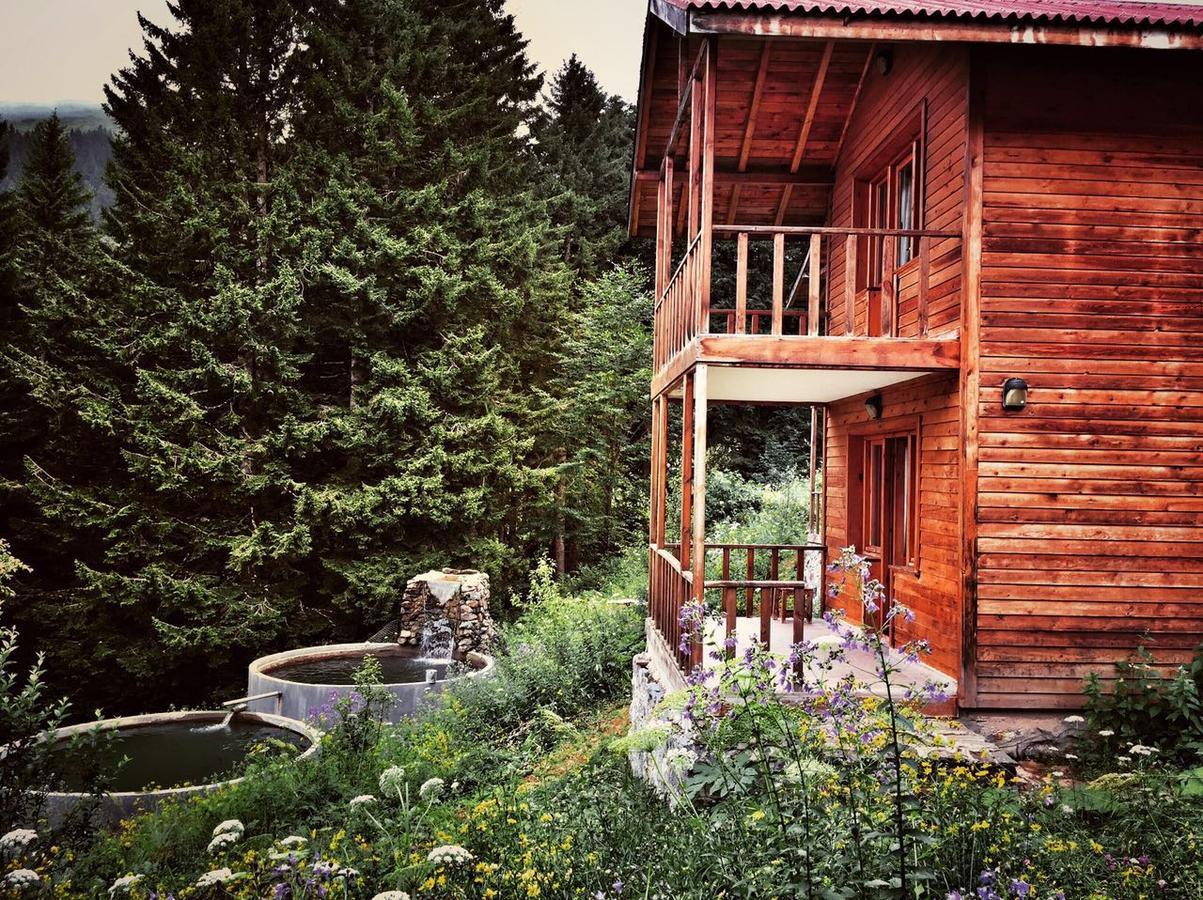 Zitas Zigana Yayla Tatil Koyu Macka Exteriör bild
