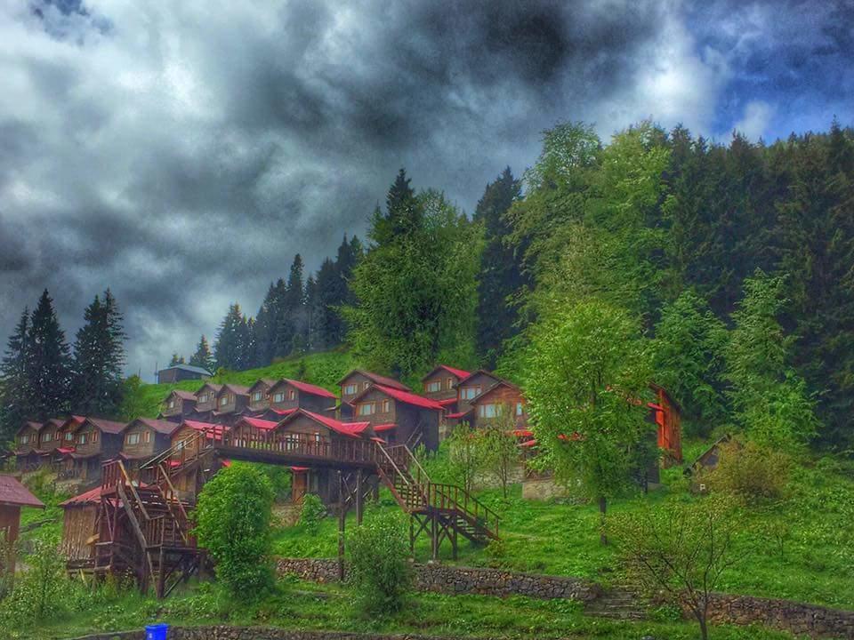Zitas Zigana Yayla Tatil Koyu Macka Exteriör bild