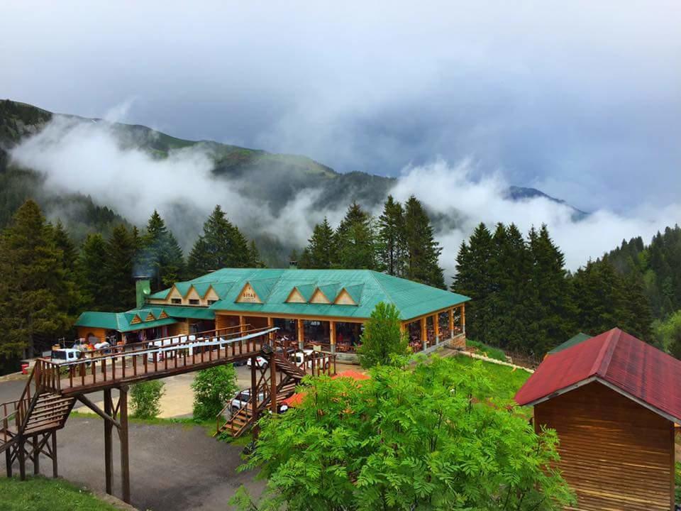 Zitas Zigana Yayla Tatil Koyu Macka Exteriör bild