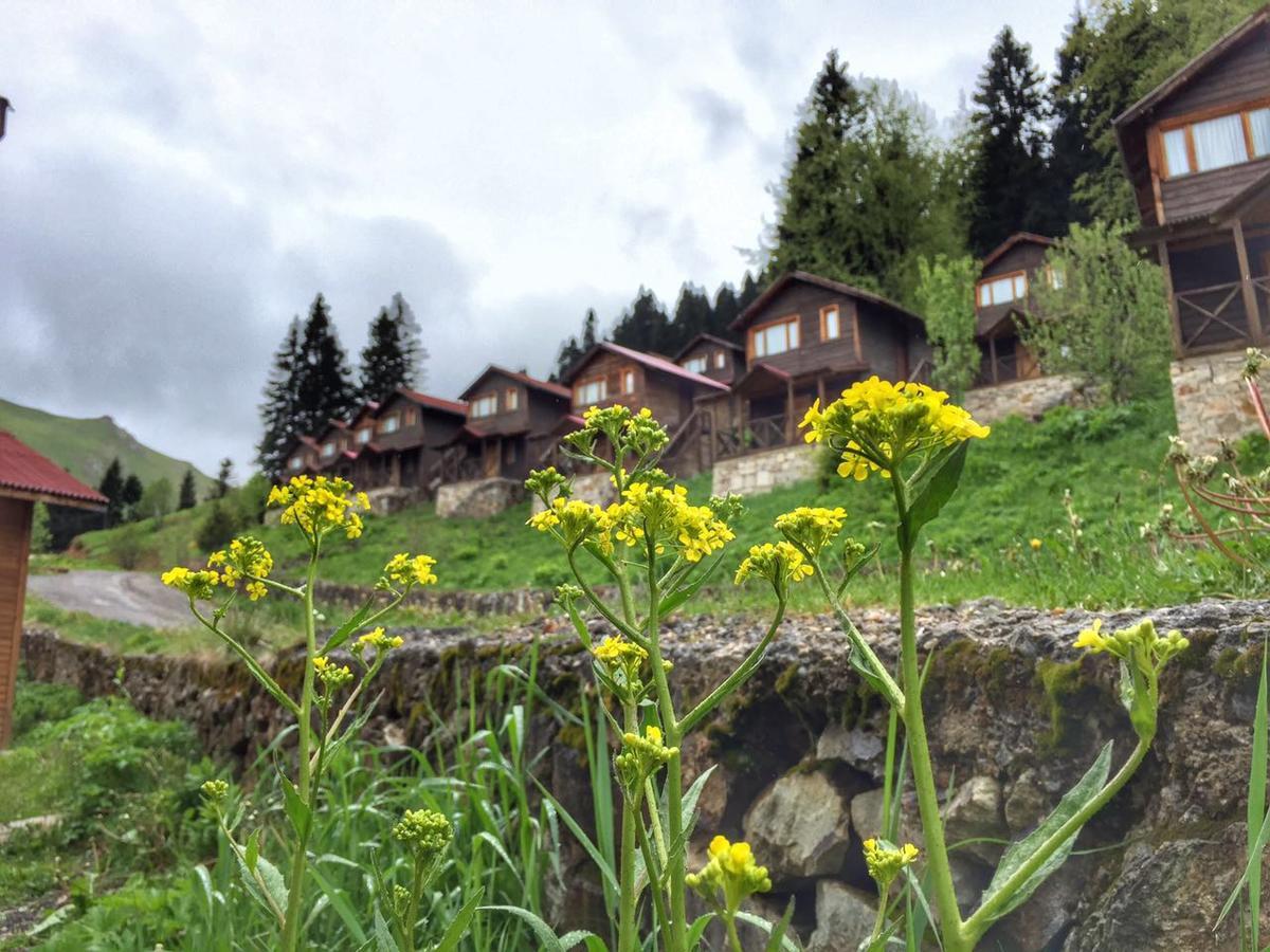 Zitas Zigana Yayla Tatil Koyu Macka Exteriör bild