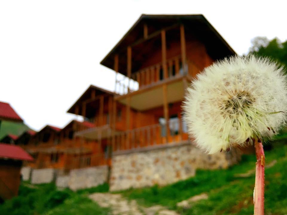 Zitas Zigana Yayla Tatil Koyu Macka Exteriör bild