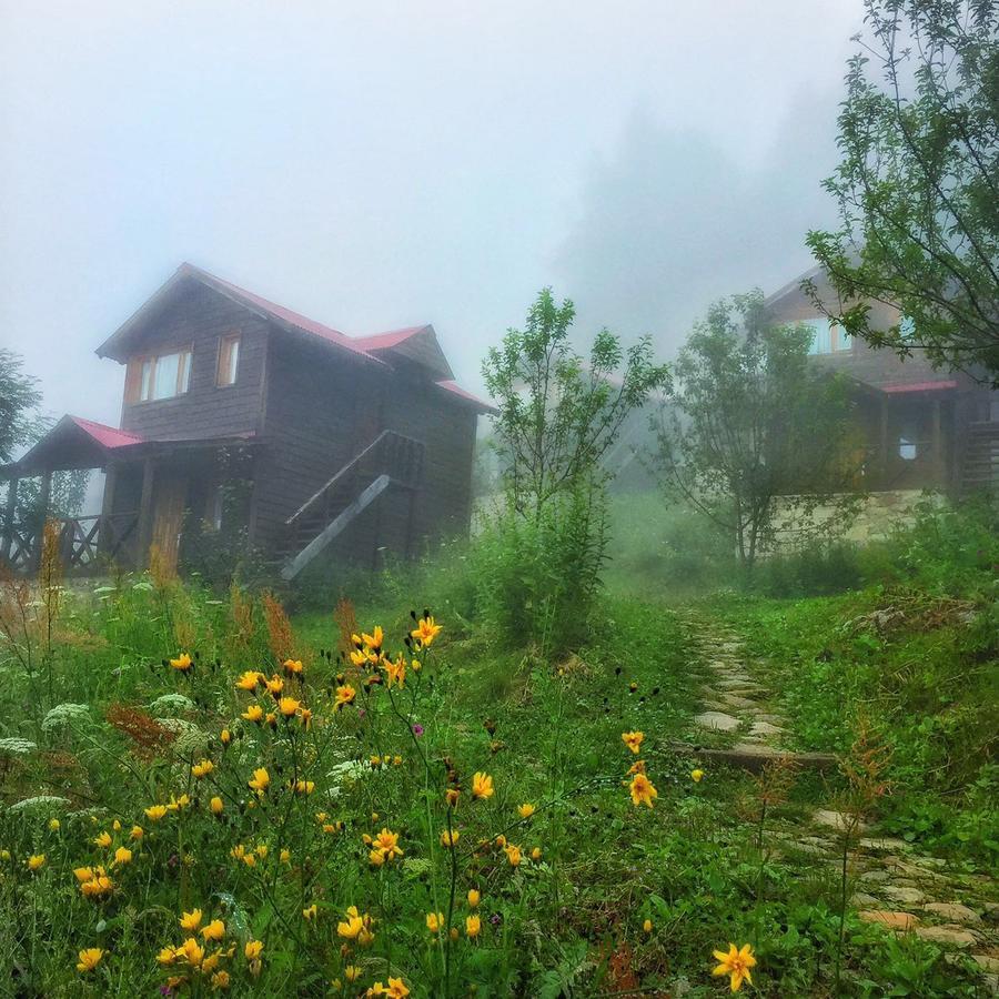 Zitas Zigana Yayla Tatil Koyu Macka Exteriör bild