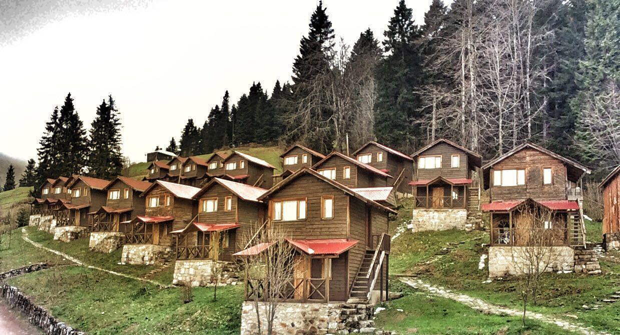 Zitas Zigana Yayla Tatil Koyu Macka Exteriör bild