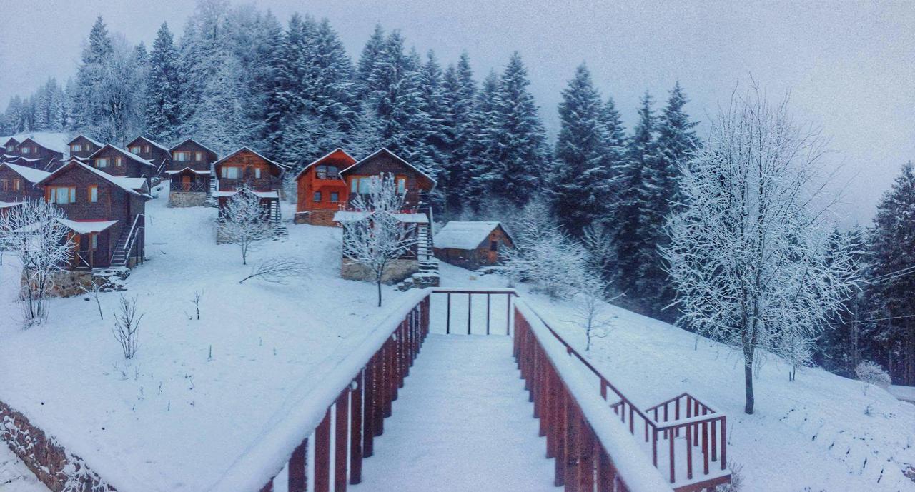 Zitas Zigana Yayla Tatil Koyu Macka Exteriör bild