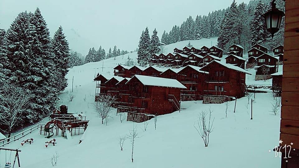 Zitas Zigana Yayla Tatil Koyu Macka Exteriör bild